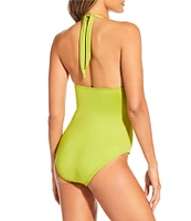 Gibson & Latimer Solid V-Neck Wide Band Halter One Piece Swimsuit