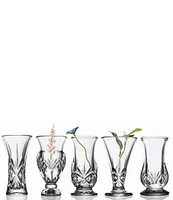 Godinger Dublin Crystal 5-Piece Bud Vase Set