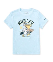 Hurley Little Boys 2T-7 Short Sleeve Pelican T-Shirt