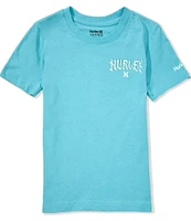 Hurley Little Boys 4-7 Short Sleeve Palm Beach Graphic T-Shirt