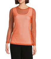 IC Collection Sheer Mesh Crew Neck Long Sleeve Knit Top