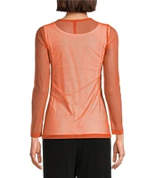 IC Collection Sheer Mesh Crew Neck Long Sleeve Knit Top