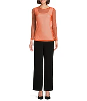 IC Collection Sheer Mesh Crew Neck Long Sleeve Knit Top