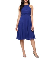 Ignite Evenings Petite Size Chiffon 3/4 Sleeve Jacket Dress
