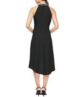 Ignite Evenings Petite Size Satin Back Crepe Beaded High-Low Halter Neck Sleeveless Dress