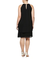 Ignite Evenings Plus Size Sleeveless Embellished Halter Neck Chiffon Dress