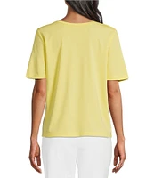 Investments Petite Size Knit Short Sleeve Ballet Neck Top