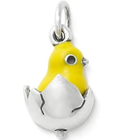 James Avery Jewelry Chicks Rule Charm