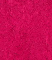 Jessica Howard Short Sleeve Lace Fit and Flare Dress