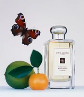 Jo Malone London Lime Basil & Mandarin Cologne, 1.7-oz.