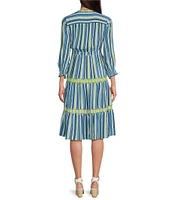 John Mark Embroidered Stripe V-Neck Long Ruffle Sleeve Tiered Popover Midi Dress