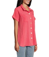 John Mark Petite Size Solid Wire Collar Short Dolman Sleeve Button Front Camp Shirt