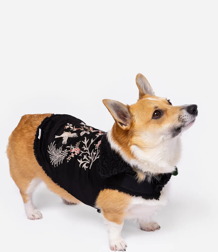 JOHNNY WAS Valentina Embroidered Denim Pet Jacket