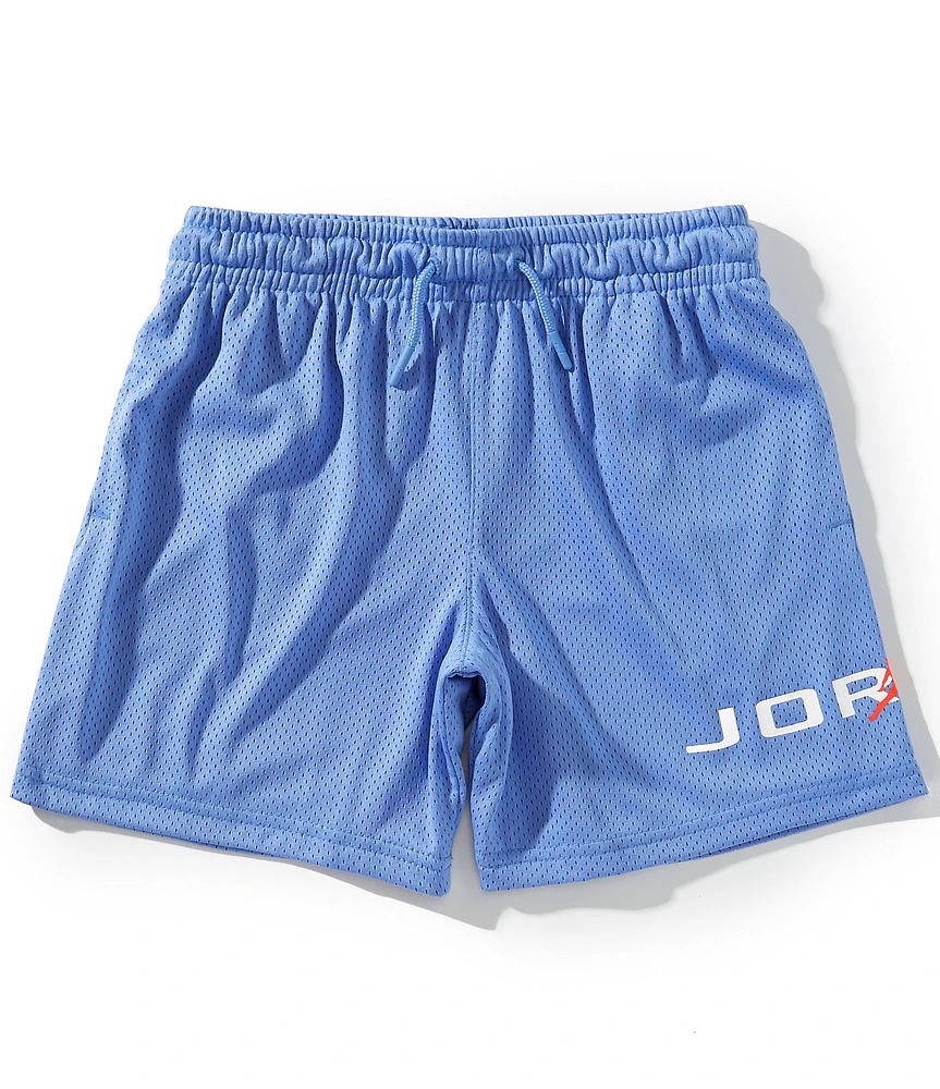 Jordan Big Boys 8-20 Baseline Mesh Shorts
