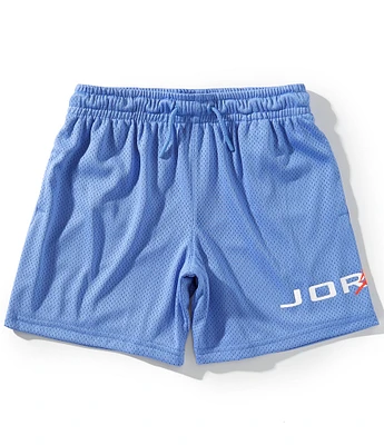 Jordan Big Boys 8-20 Baseline Mesh Shorts