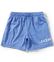 Jordan Big Boys 8-20 Baseline Mesh Shorts