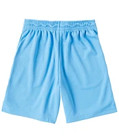 Jordan Big Boys 8-20 Essentials Mesh Shorts