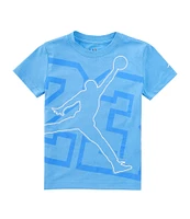 Jordan Little Boys 2T-7 Short Sleeve Shine Jumpman Graphic T-Shirt