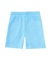 Jordan Little Boys 2T-7 Essentials Mesh Drawstring Shorts