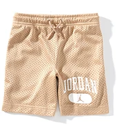 Jordan Little Boys 4-7 Mesh PE Shorts