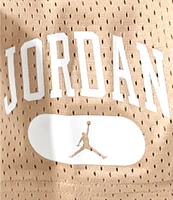 Jordan Little Boys 4-7 Mesh PE Shorts