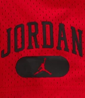 Jordan Little Boys 4-7 Mesh PE Shorts
