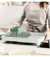 Joseph Joseph Extend Expandable Dish Rack
