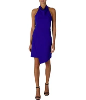 Julia Jordan Sleeveless Cowl Halter Neck Asymmetric Sheath Dress