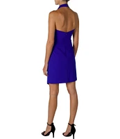 Julia Jordan Sleeveless Cowl Halter Neck Asymmetric Sheath Dress