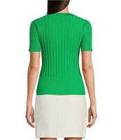 KARL LAGERFELD PARIS Knit Round Neck Short Sleeve Sweater