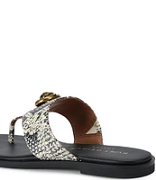 Kurt Geiger London Chelsea Square Toe Snake Print Leather Thong Sandals