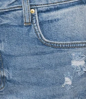 KUT from the Kloth Hailey Stretch Denim High Rise Shorts