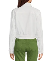 Kut from the Kloth Rumi Stretch Twill Point Collar Long Sleeve Cropped Jacket