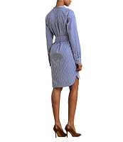Lauren Ralph Lauren Broadcloth Striped Belted Shirt Dress