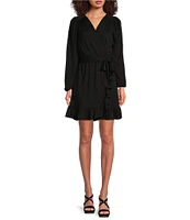 Lauren Ralph Lauren Stretch Jersey Surplice V-Neck Long Sleeve Belted Mini Dress