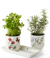 Lenox Butterfly Meadow 3-Piece Herb Pots & Tray Set