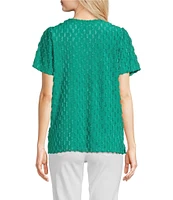 Leo & Nicole Split V-Neck Short Sleeve Clip Dot Top