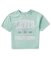 Levi's® Big Girls 7-16 Short-Sleeve Collegiate Meet and Greet T-Shirt