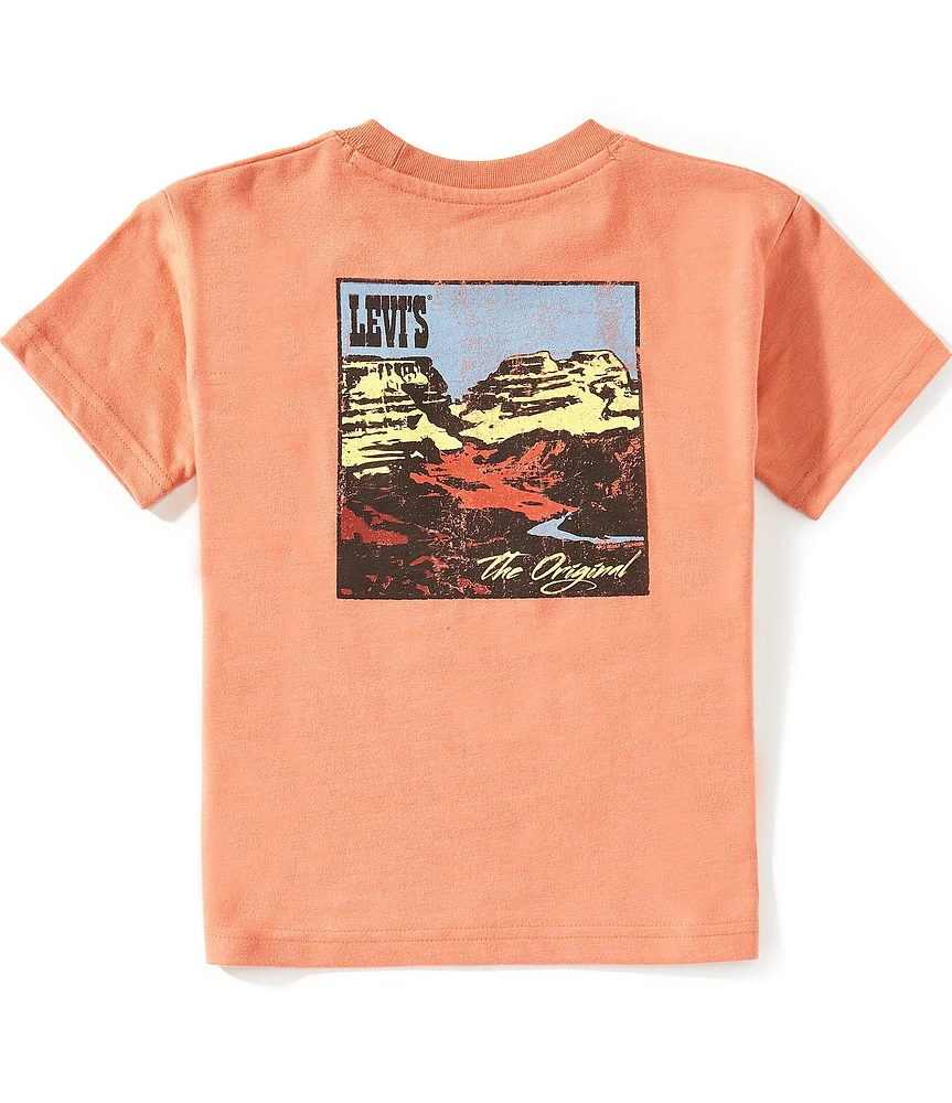 Levi's® Little Boys 4-7 Short-Sleeve Canyon Landscape T-Shirt