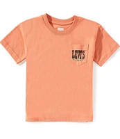 Levi's® Little Boys 4-7 Short-Sleeve Canyon Landscape T-Shirt