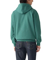 Levi's® Varsity Fleece Graphic Hoodie