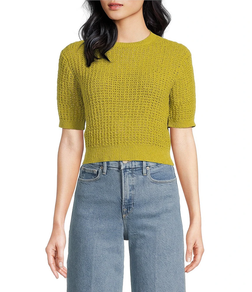 Lucy Paris Lou Knit Scoop Neck Short Sleeve Fitted Top