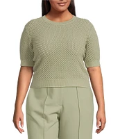 Lucy Paris Plus Elise Short Sleeve Sweater Knit Top