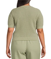 Lucy Paris Plus Elise Short Sleeve Sweater Knit Top