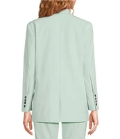 Marella Rubens Stretch Microfiber Canvas Notch Lapel Collar Long Sleeve Two-Button Jacket