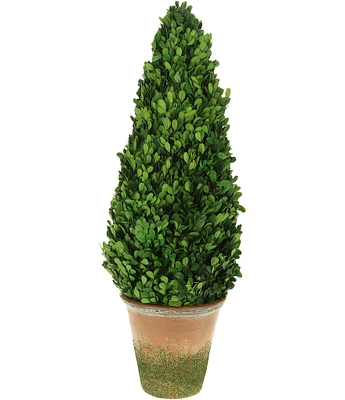 Mark Roberts Boxwood Topiary Cone