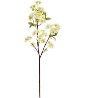 Mark Roberts Cherry Blossoms Spray Steam, Set of 12