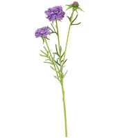 Mark Roberts Chervil, Boxed Set of 12
