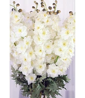 Mark Roberts Delphinium White Set of 12