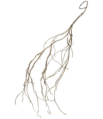 Mark Roberts Dried 4.5 ft. Vine, Set of 6